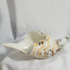 artglass counch shell ag2822(1)