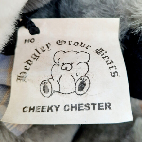 COL2923 - Hedley Grove Cheeky Chester Teddy Bear (5)