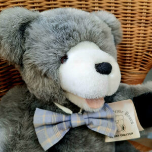 COL2923 - Hedley Grove Cheeky Chester Teddy Bear (6)