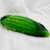 unusual art glass bitter melon ornament