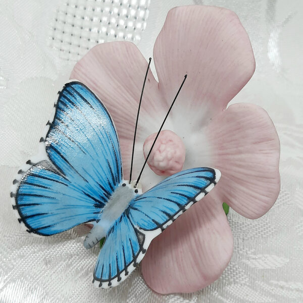 adonis blue butterfly on mask mallow flower