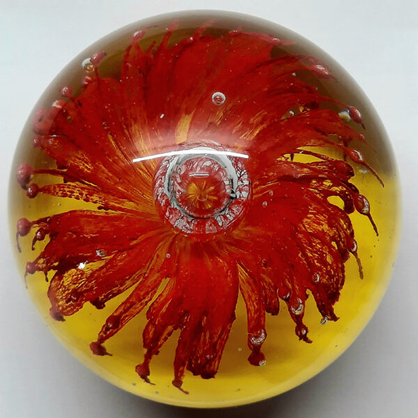 red flower double layer paperweight