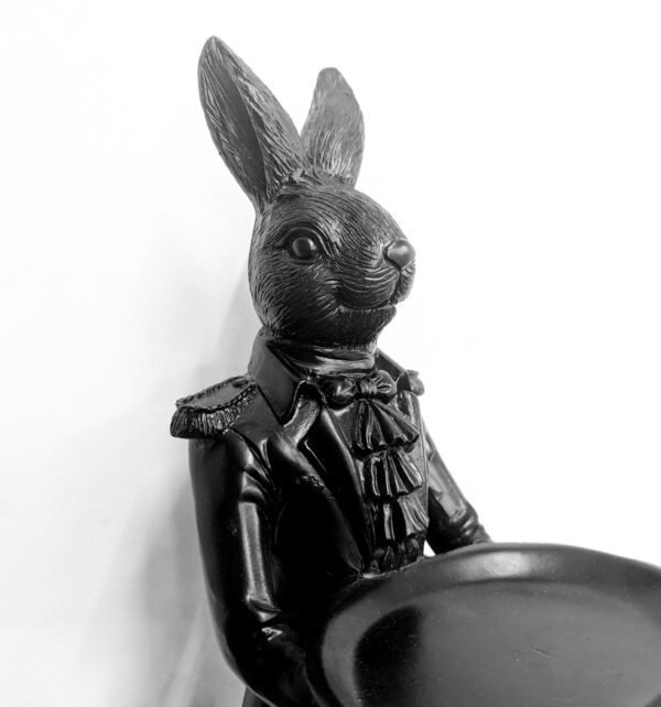 mr rabbit the waiter