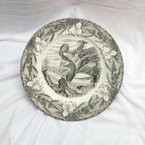 canvas back duck plate