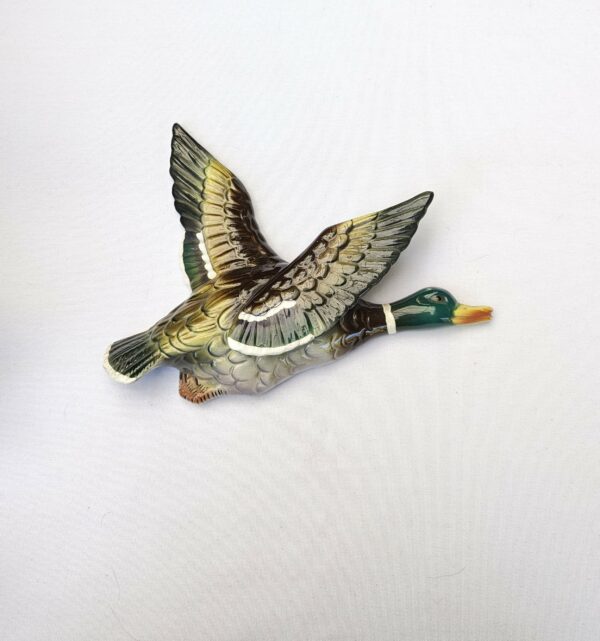 small flying mallard duck wall hanging