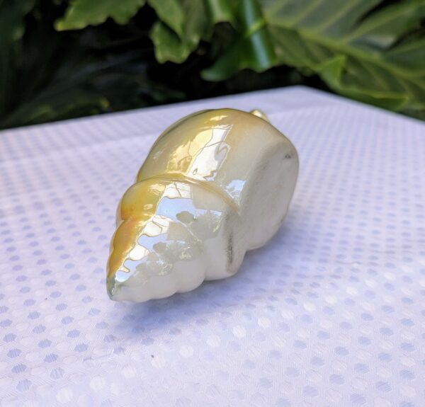 vintage lustre ware conch shell ashtray